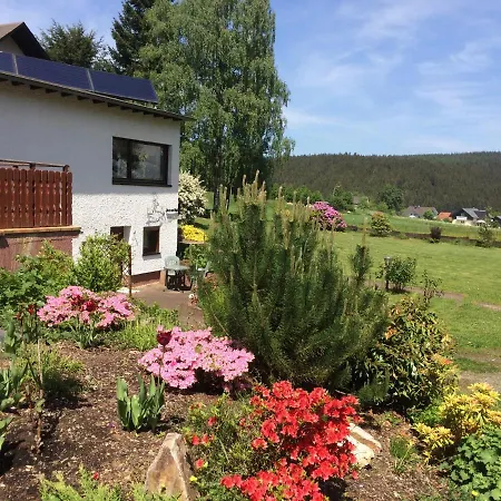 Haus Am Wald - Urlaub Am Nationalpark Apartment Langweiler (Birkenfeld)