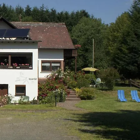 Haus Am Wald - Urlaub Am Nationalpark Appartement Langweiler (Birkenfeld)